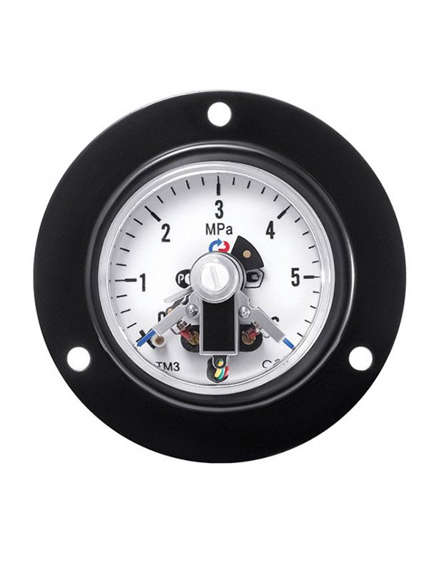 Манометр электроконтактный (ЭКМ) – цены на манометры осевые с ...