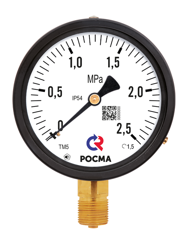 Манометр ТМ-510P IP54 с повышенной пылевлагозащищенностью – 1